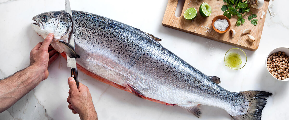 Fresh Fish on a table